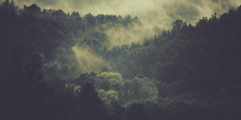 低功耗广域网技术如何赋能农业物联网：从精准种植到数字营销的网站开发与SEO优化策略