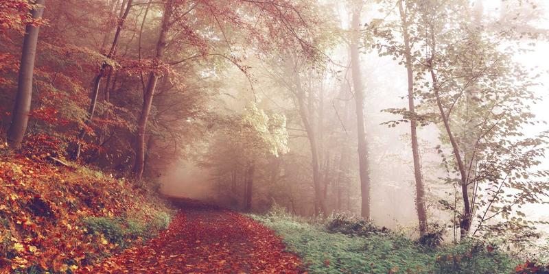 意图驱动网络：如何通过自动化配置实现数字营销与SEO优化的业务目标