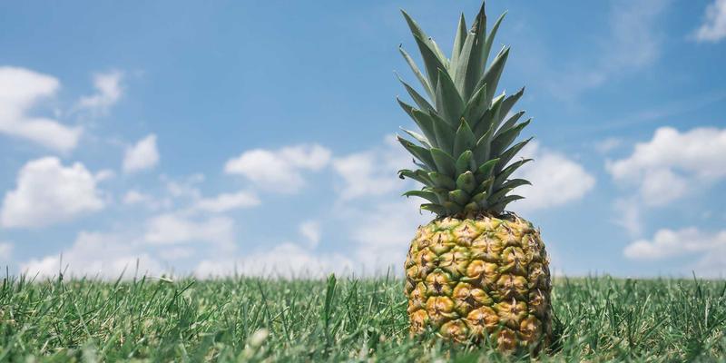 电商企业如何破解多云与混合云网络互联难题？网站开发与网络技术的关键策略