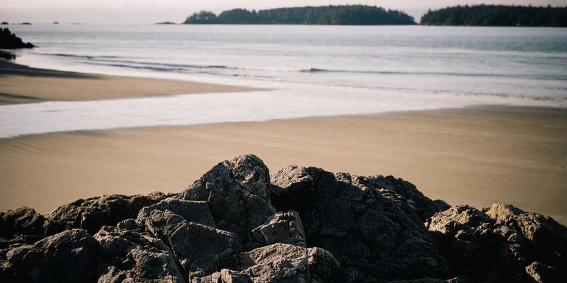 电商解决方案与数字营销的基石：网站开发中的性能监控与智能可观测性平台