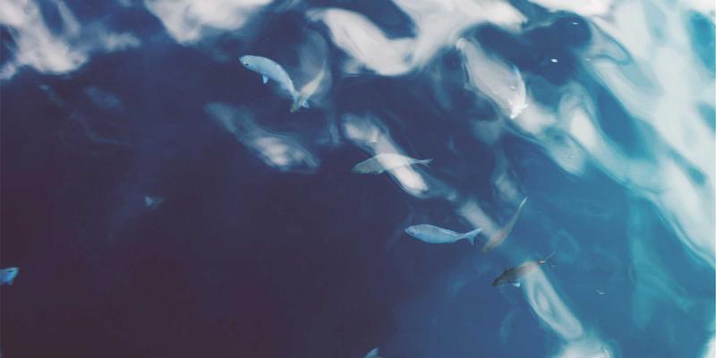 网络功能虚拟化(NFV)在电信运营商中的部署实践：驱动网络技术革新与电商解决方案的基石