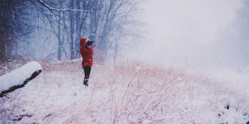 网络技术58：数字营销、电子商务与SEO优化的融合创新