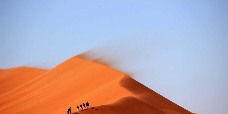 网络技术62时代:如何通过SEO优化与数字营销构建可持续增长引擎