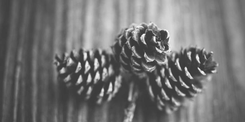 网络技术99:数字营销、网站开发与电子商务的融合之道