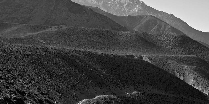 网络技术入门：从网站开发到数字营销与电商解决方案的完整路径