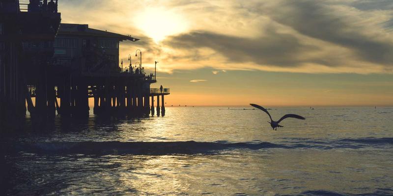 网络技术前景展望：SEO优化与电子商务的融合创新