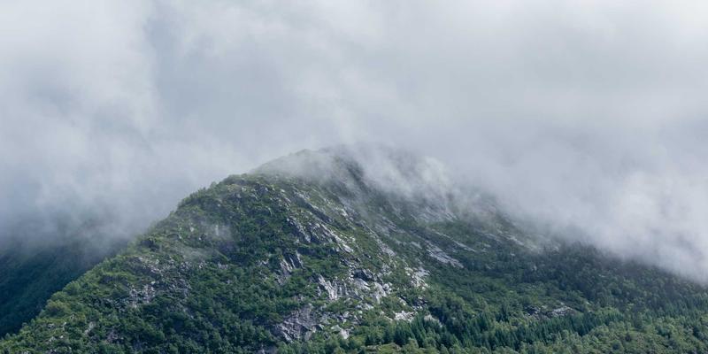 网络技术发展如何重塑商业格局:聚焦数字营销、电子商务与网站开发