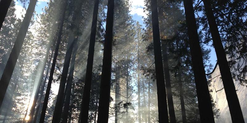 网络遥测技术如何实现全栈可视性：从电商应用到基础设施的SEO优化与网站开发实践